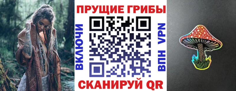 где купить наркотик Новотитаровская мега маркетплейс Галлюциногенные грибы GOLDEN TEACHER